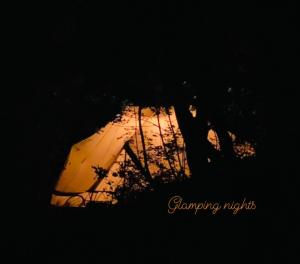 glamping_nights