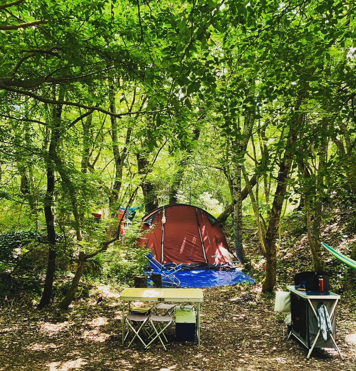 Piazzola tenda nel sotto bosco